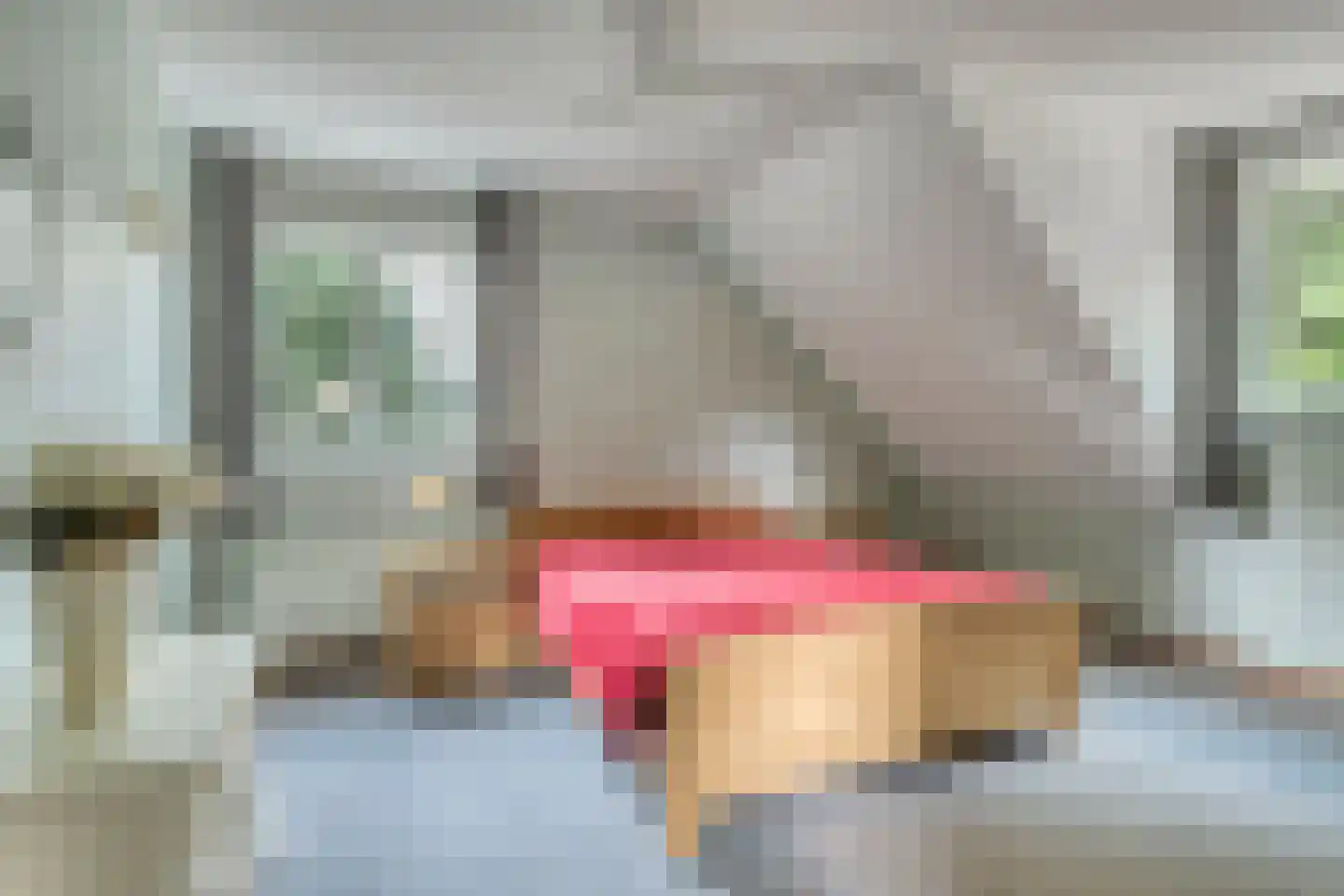 Ripsestraat 22 b De Rips thumbnail 40