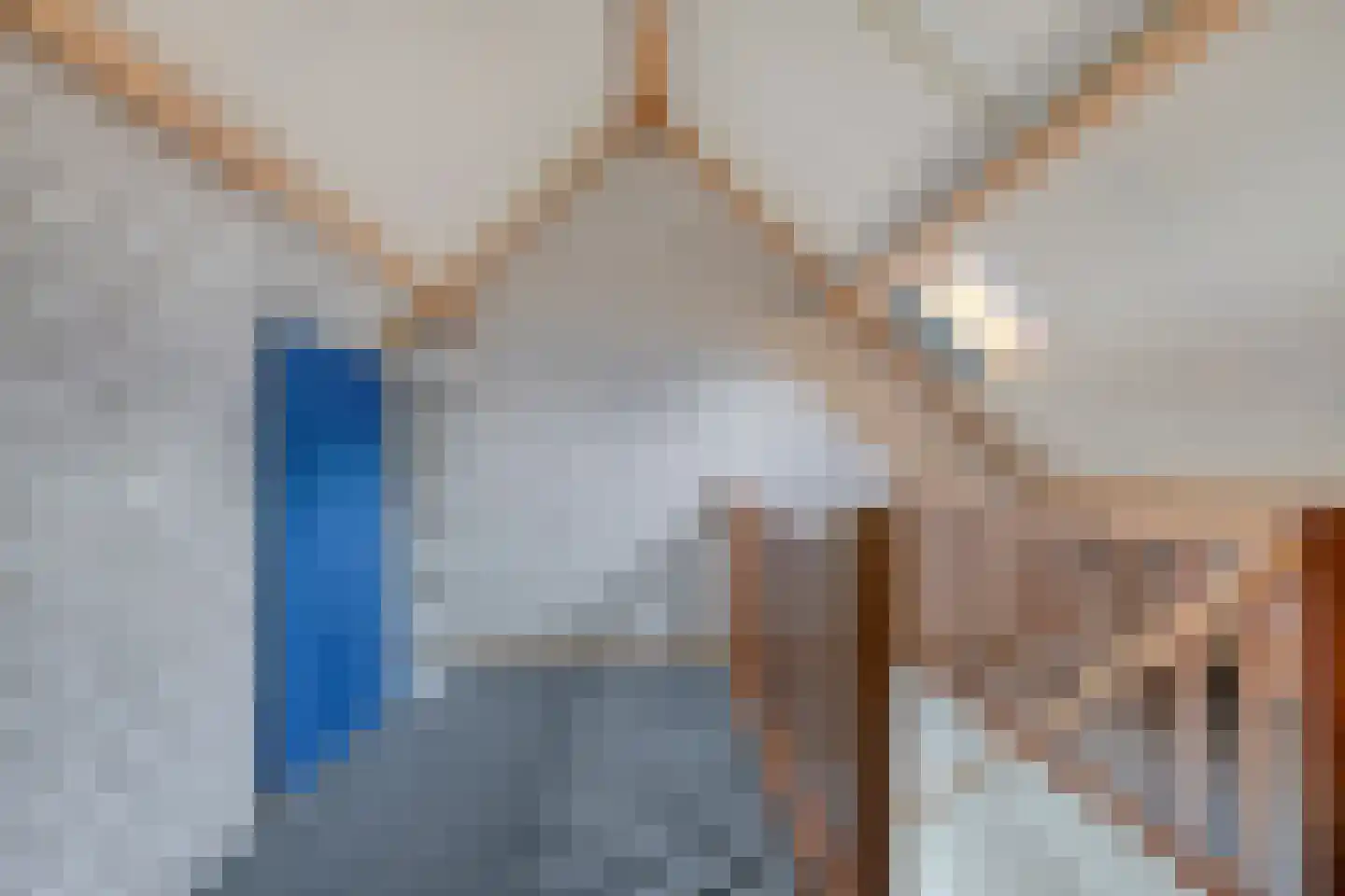 Ripsestraat 22 b De Rips thumbnail 48