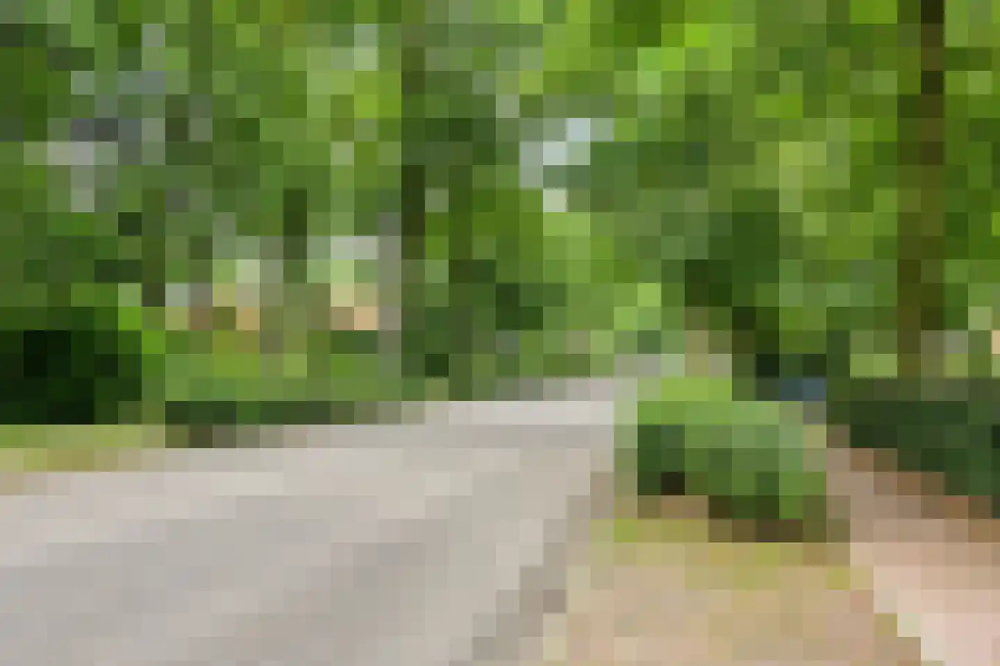 Ripsestraat 22 b De Rips thumbnail 5