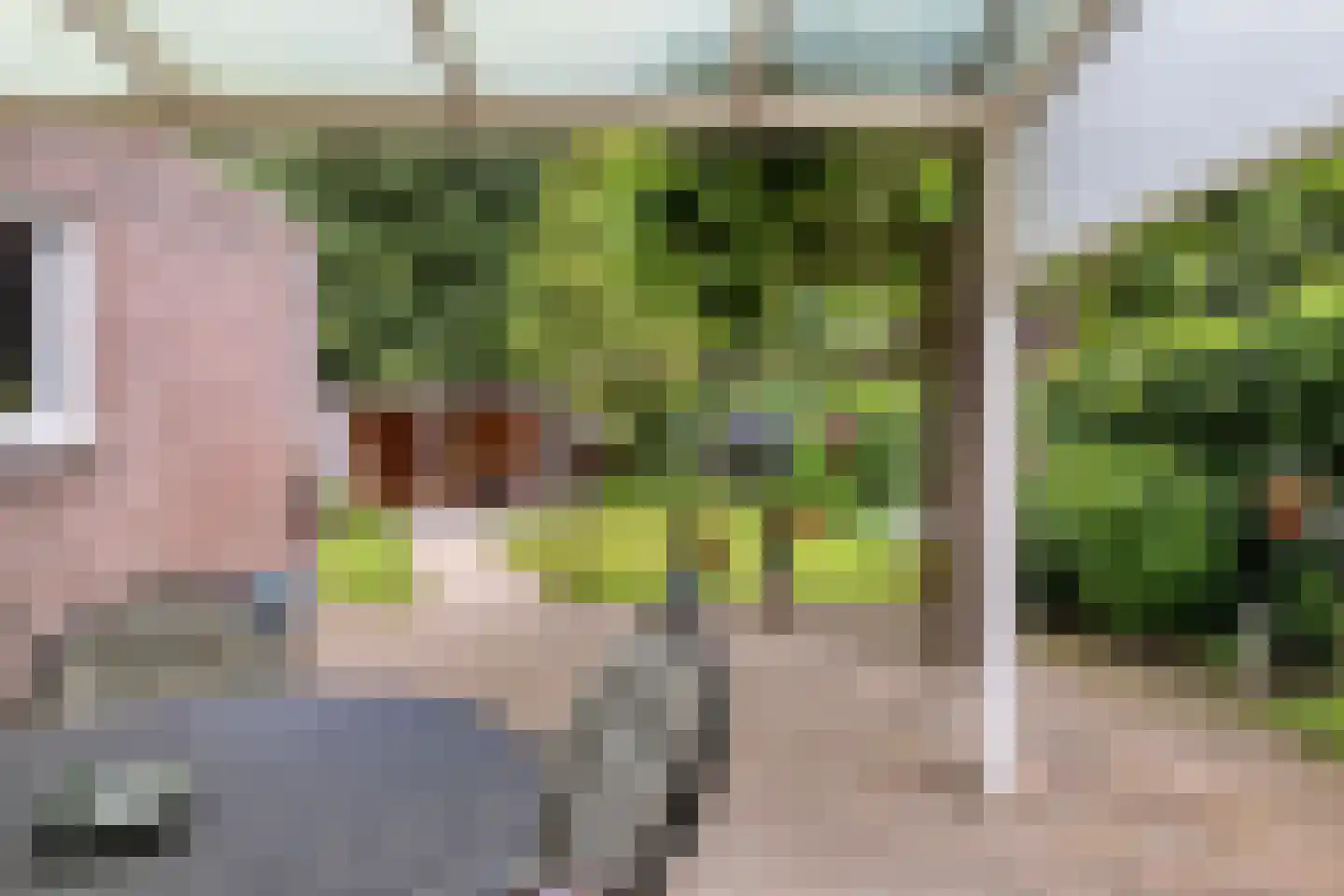 Ripsestraat 22 b De Rips thumbnail 52