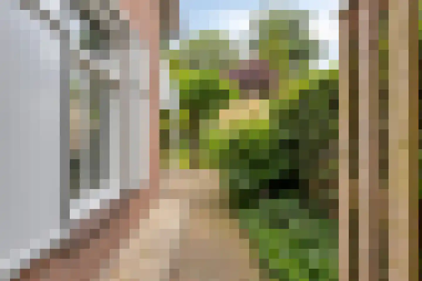 Ripsestraat 22 b De Rips thumbnail 53
