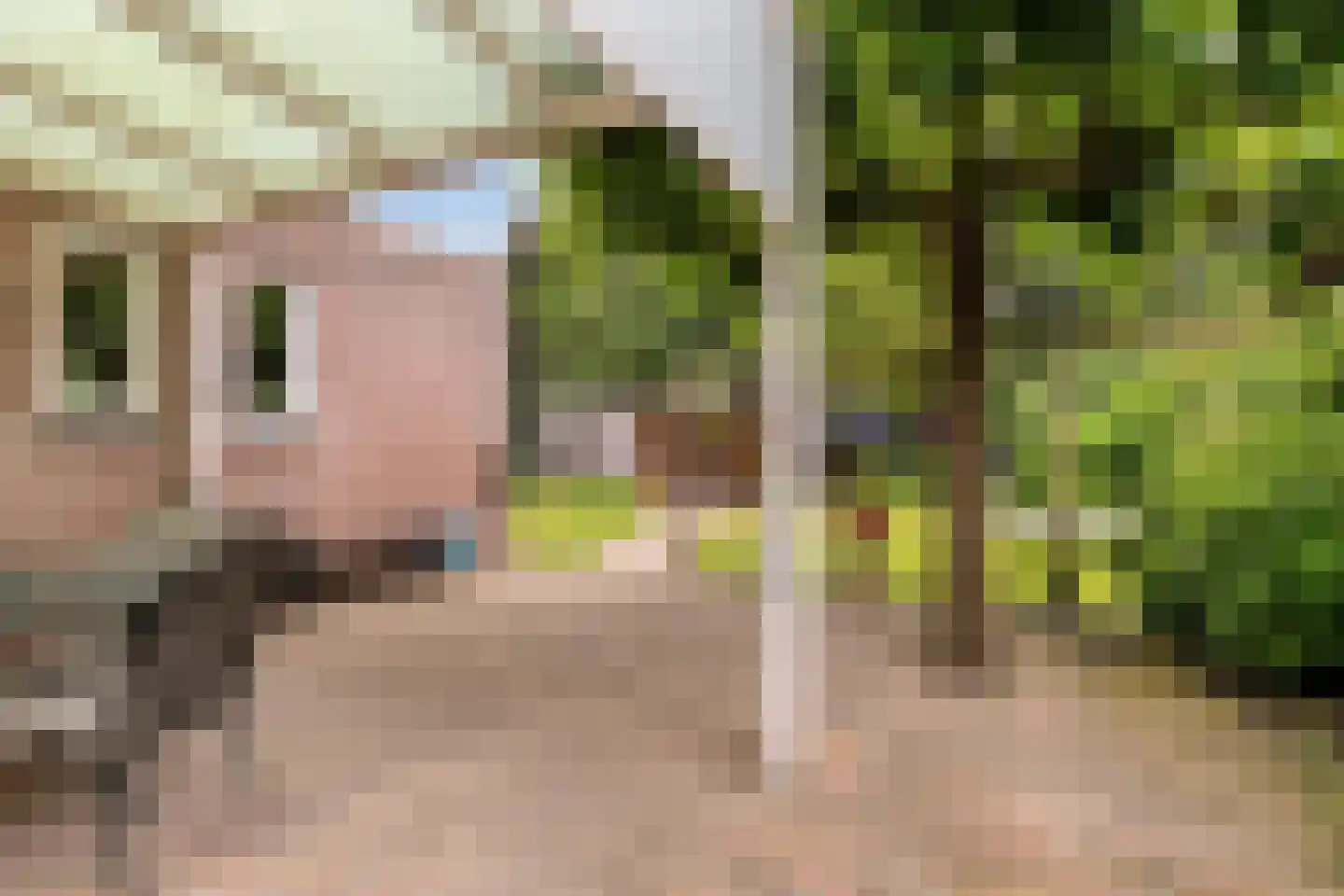 Ripsestraat 22 b De Rips thumbnail 54
