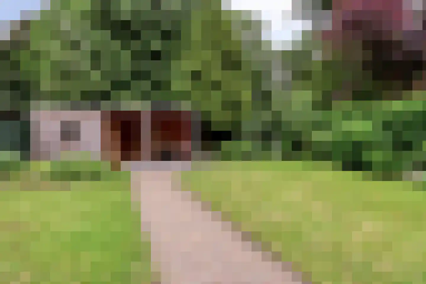 Ripsestraat 22 b De Rips thumbnail 55