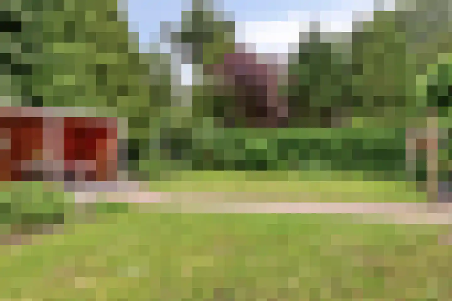 Ripsestraat 22 b De Rips thumbnail 56