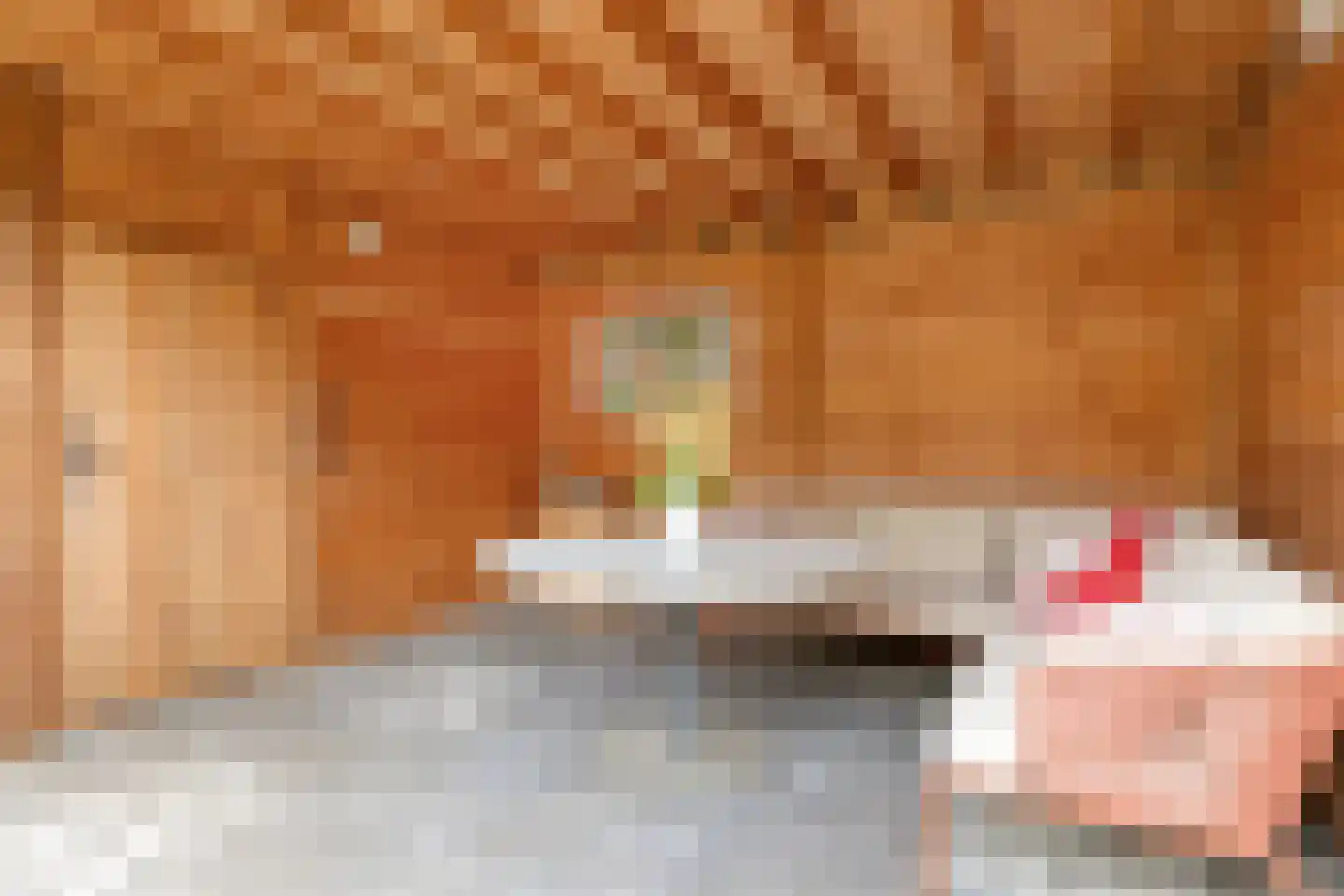 Ripsestraat 22 b De Rips thumbnail 58