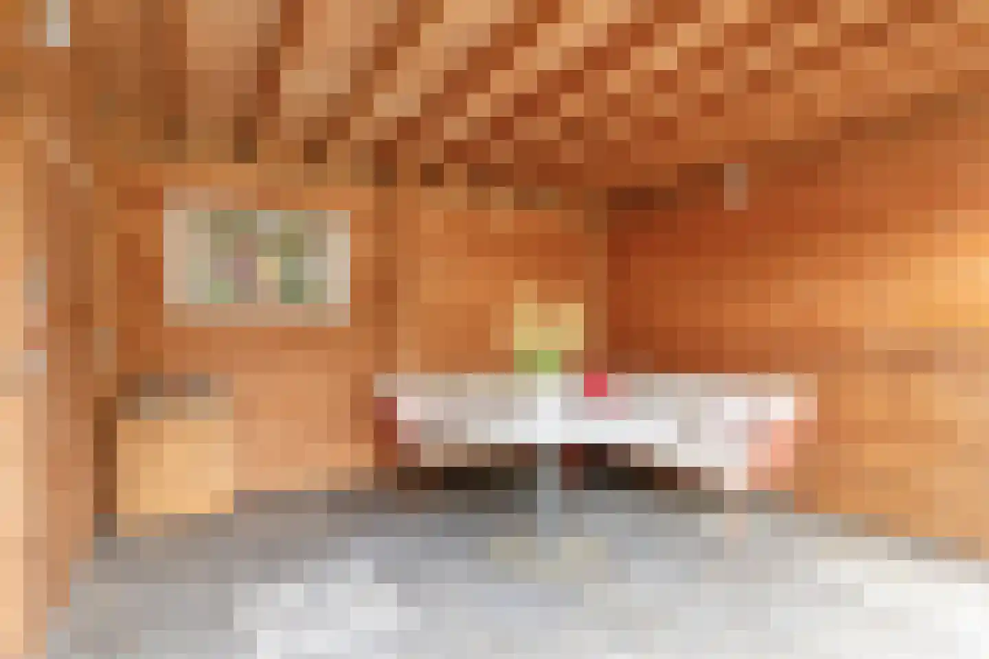 Ripsestraat 22 b De Rips thumbnail 59