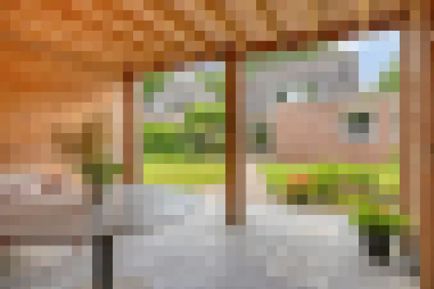 Ripsestraat 22 b De Rips thumbnail 60