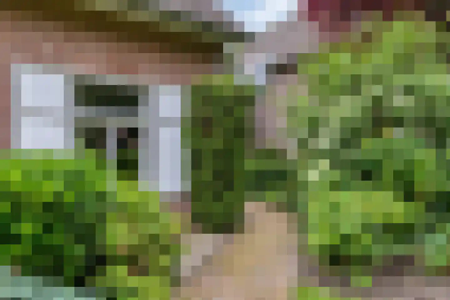 Ripsestraat 22 b De Rips thumbnail 63