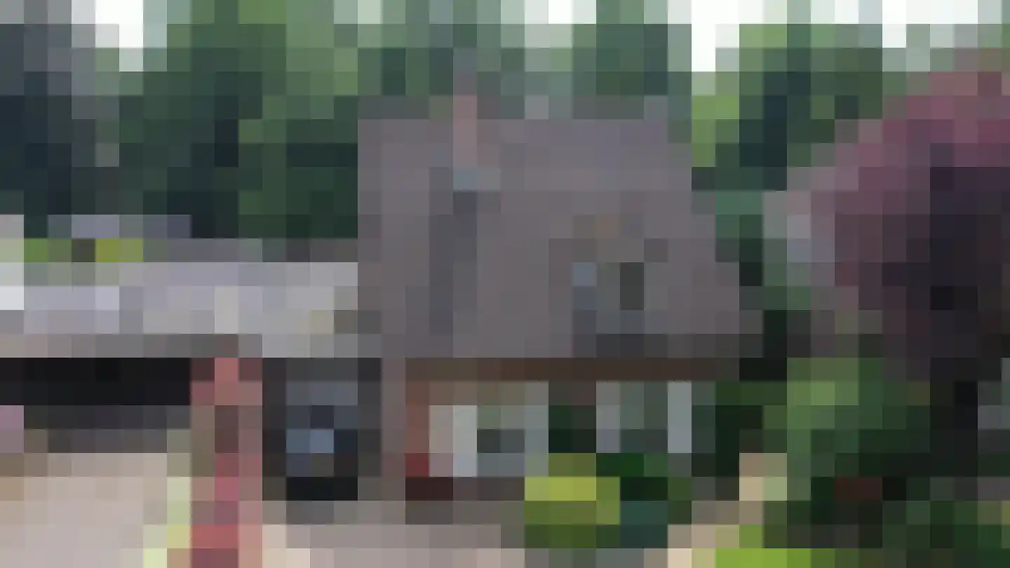 Ripsestraat 22 b De Rips thumbnail 65