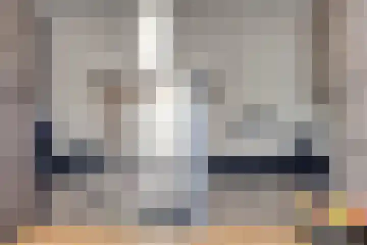Ripskant 18 Gemert thumbnail 11