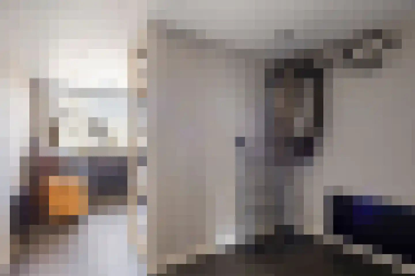 Ripskant 18 Gemert thumbnail 13