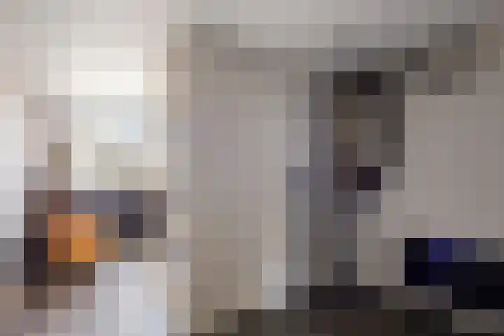 Ripskant 18 Gemert thumbnail 13
