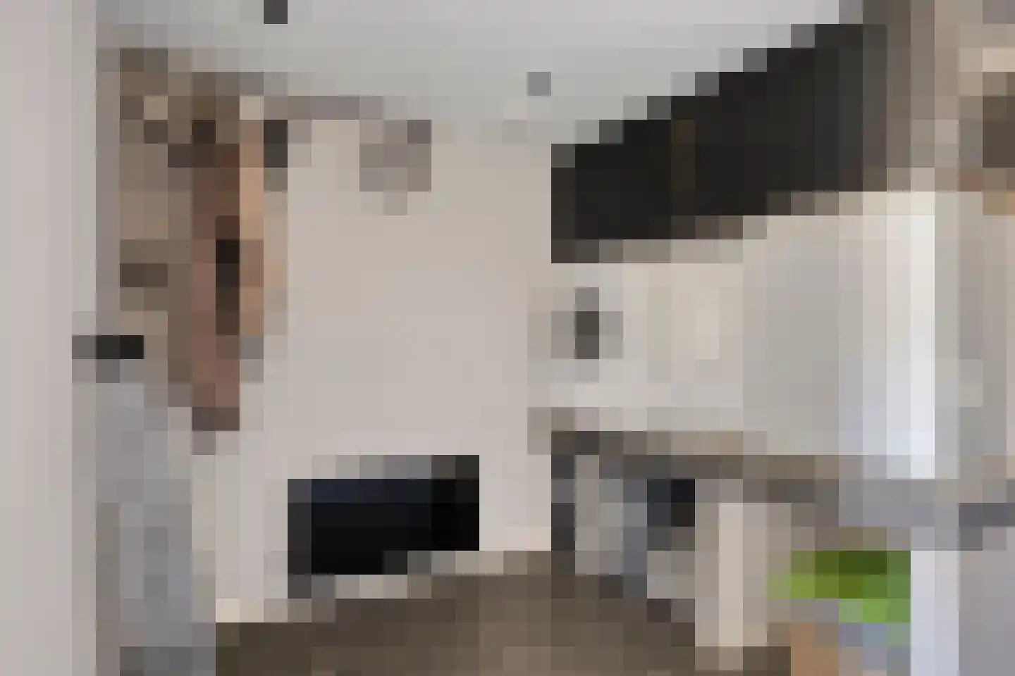 Ripskant 18 Gemert thumbnail 14