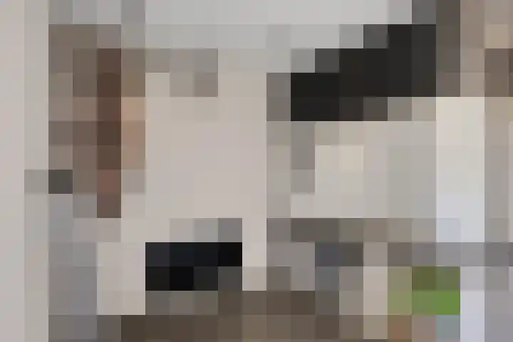 Ripskant 18 Gemert thumbnail 14