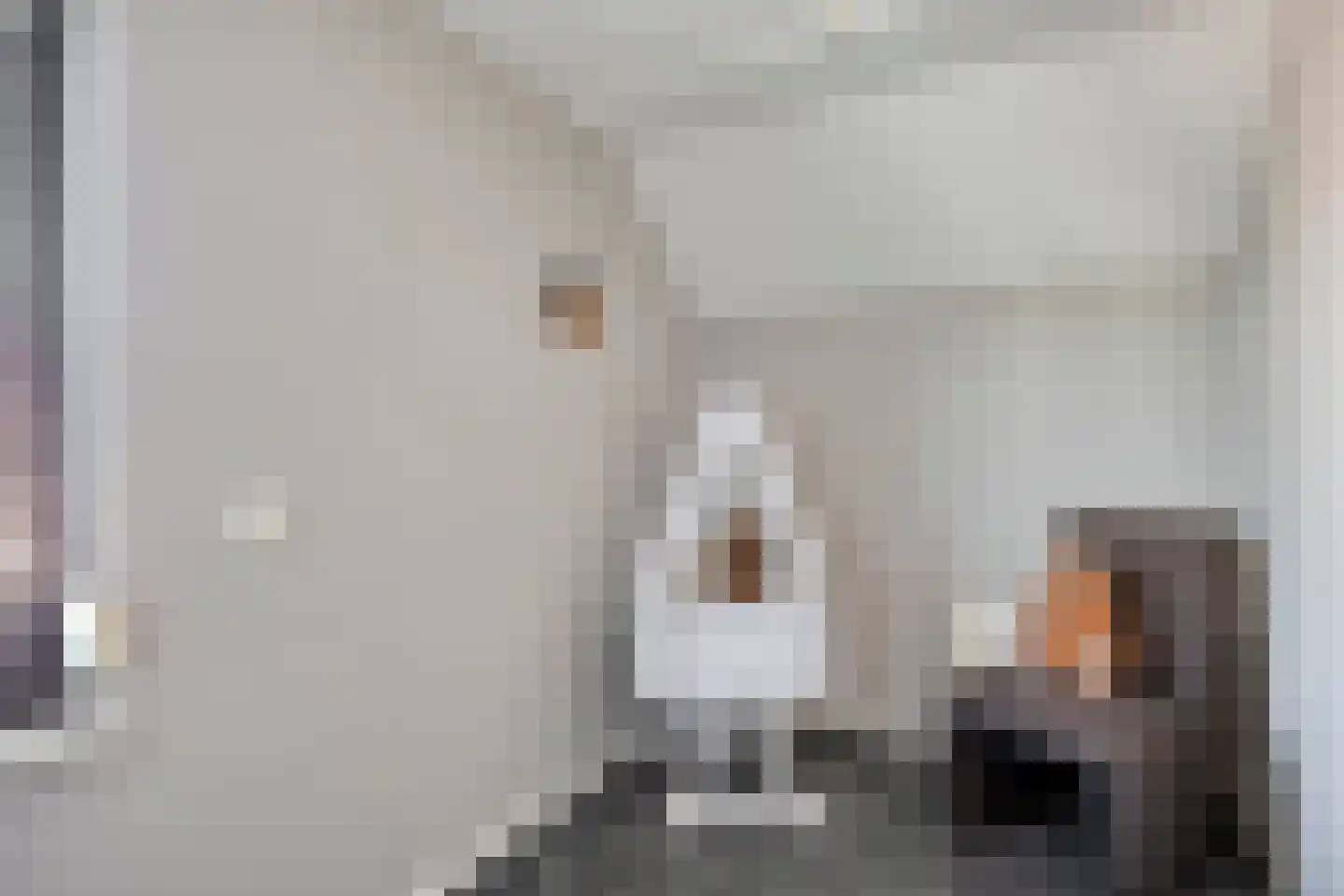 Ripskant 18 Gemert thumbnail 22
