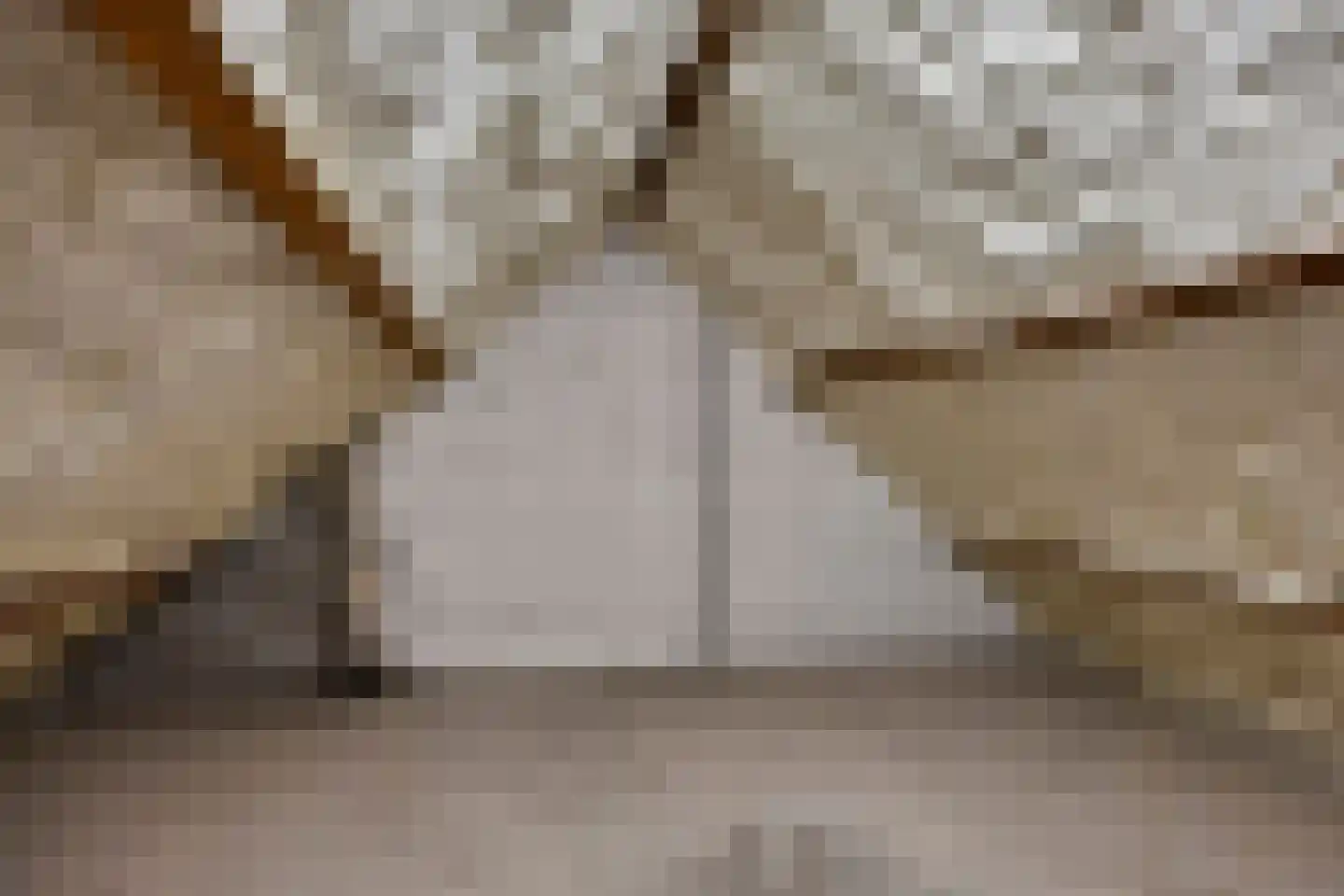 Ripskant 18 Gemert thumbnail 27