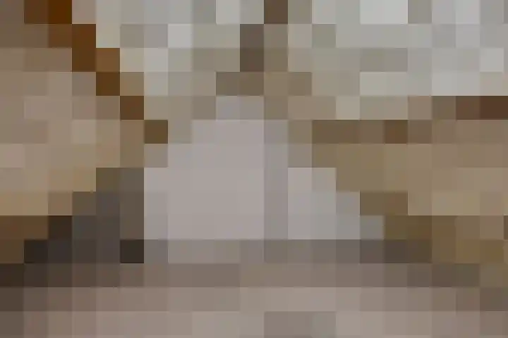 Ripskant 18 Gemert thumbnail 27