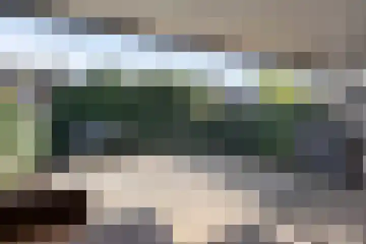 Ripskant 18 Gemert thumbnail 28