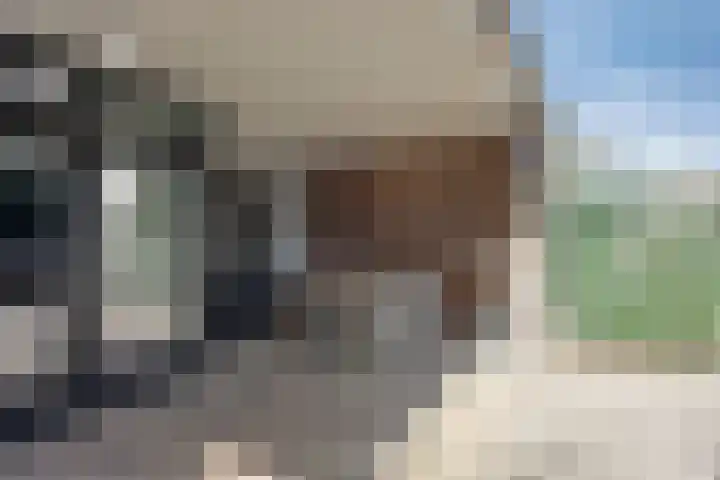 Ripskant 18 Gemert thumbnail 30