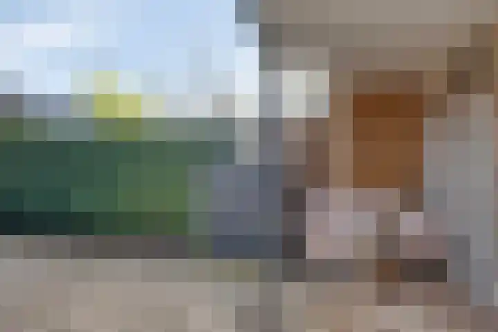 Ripskant 18 Gemert thumbnail 31
