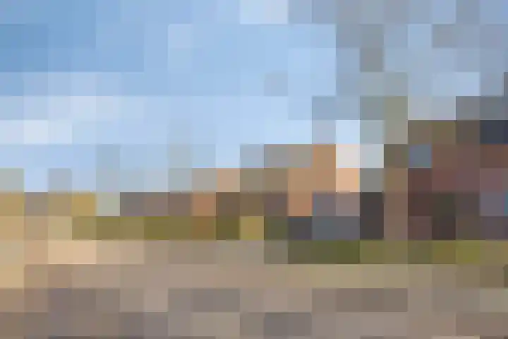 Ripskant 18 Gemert thumbnail 33