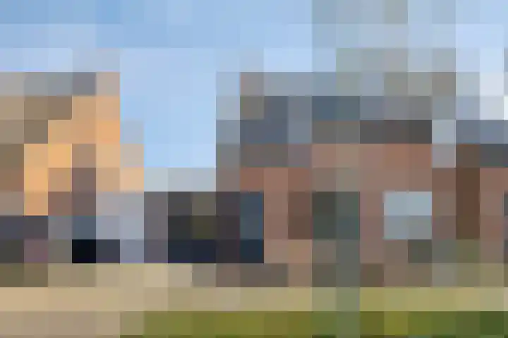 Ripskant 18 Gemert thumbnail 34
