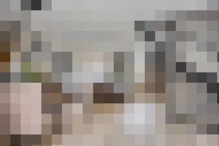 Ripskant 18 Gemert thumbnail 4