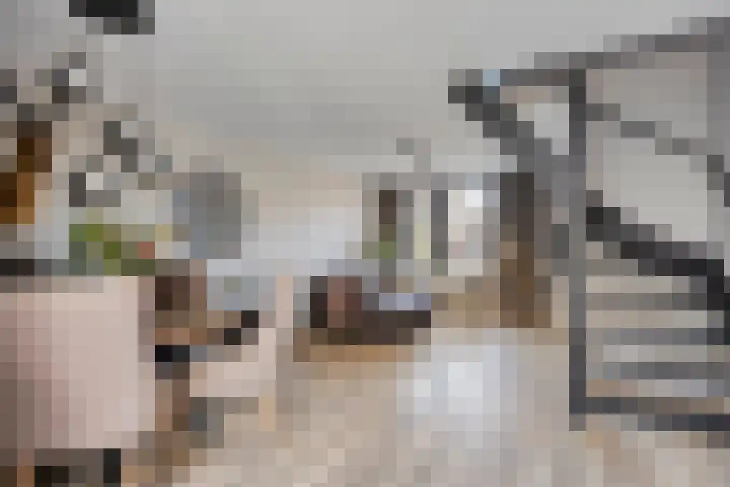 Ripskant 18 Gemert thumbnail 4