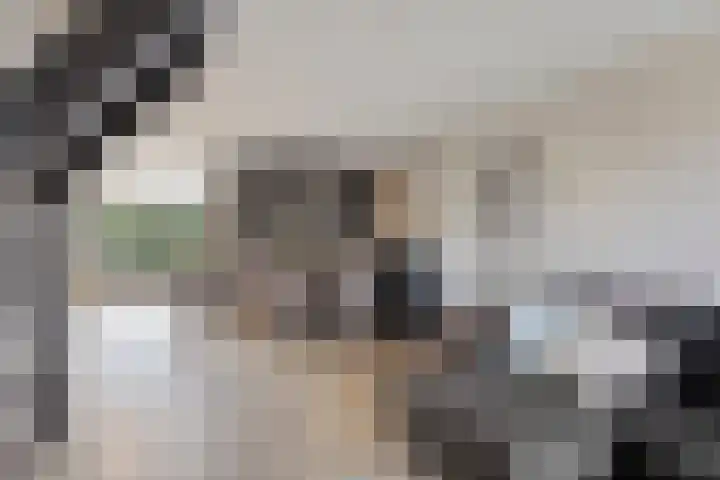 Ripskant 18 Gemert thumbnail 5