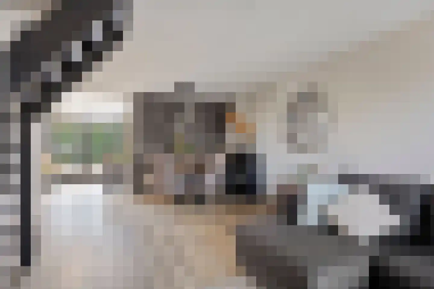 Ripskant 18 Gemert thumbnail 5