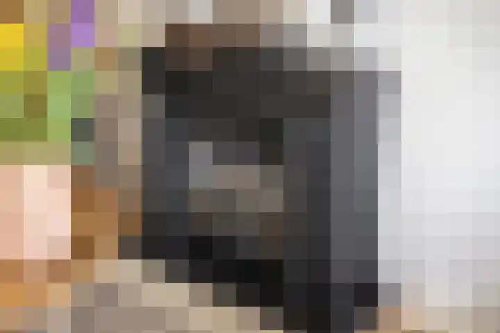 Ripskant 18 Gemert thumbnail 6