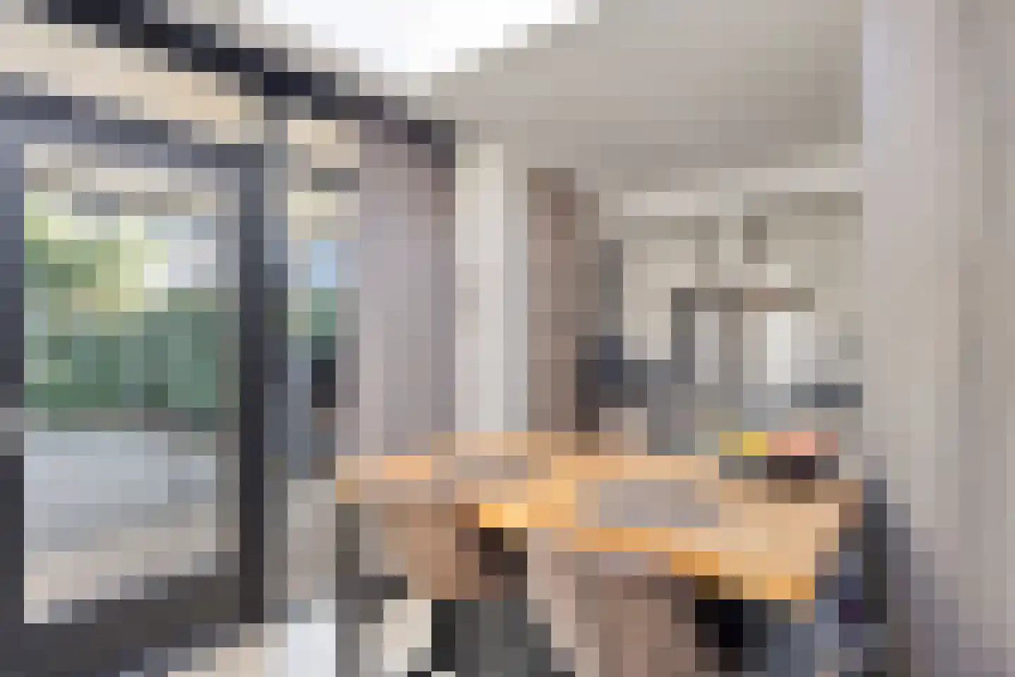 Ripskant 18 Gemert thumbnail 8