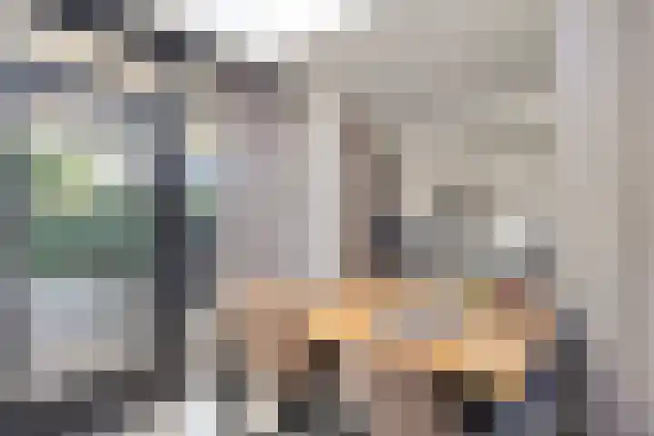 Ripskant 18 Gemert thumbnail 8