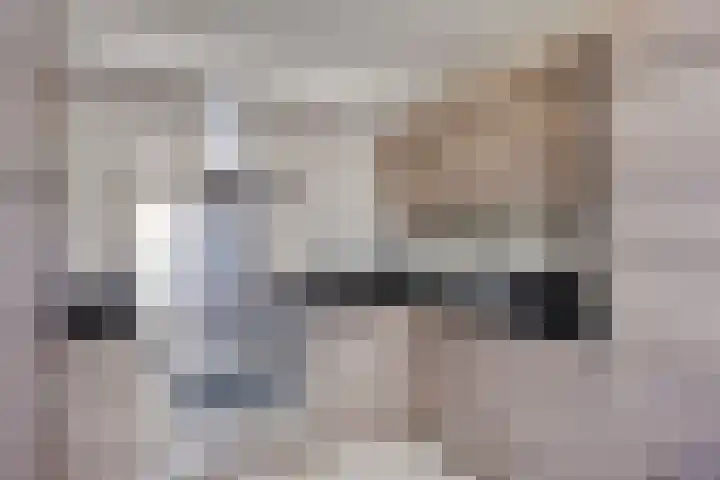 Ripskant 18 Gemert thumbnail 9
