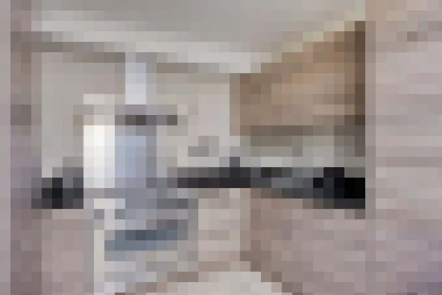 Ripskant 18 Gemert thumbnail 9