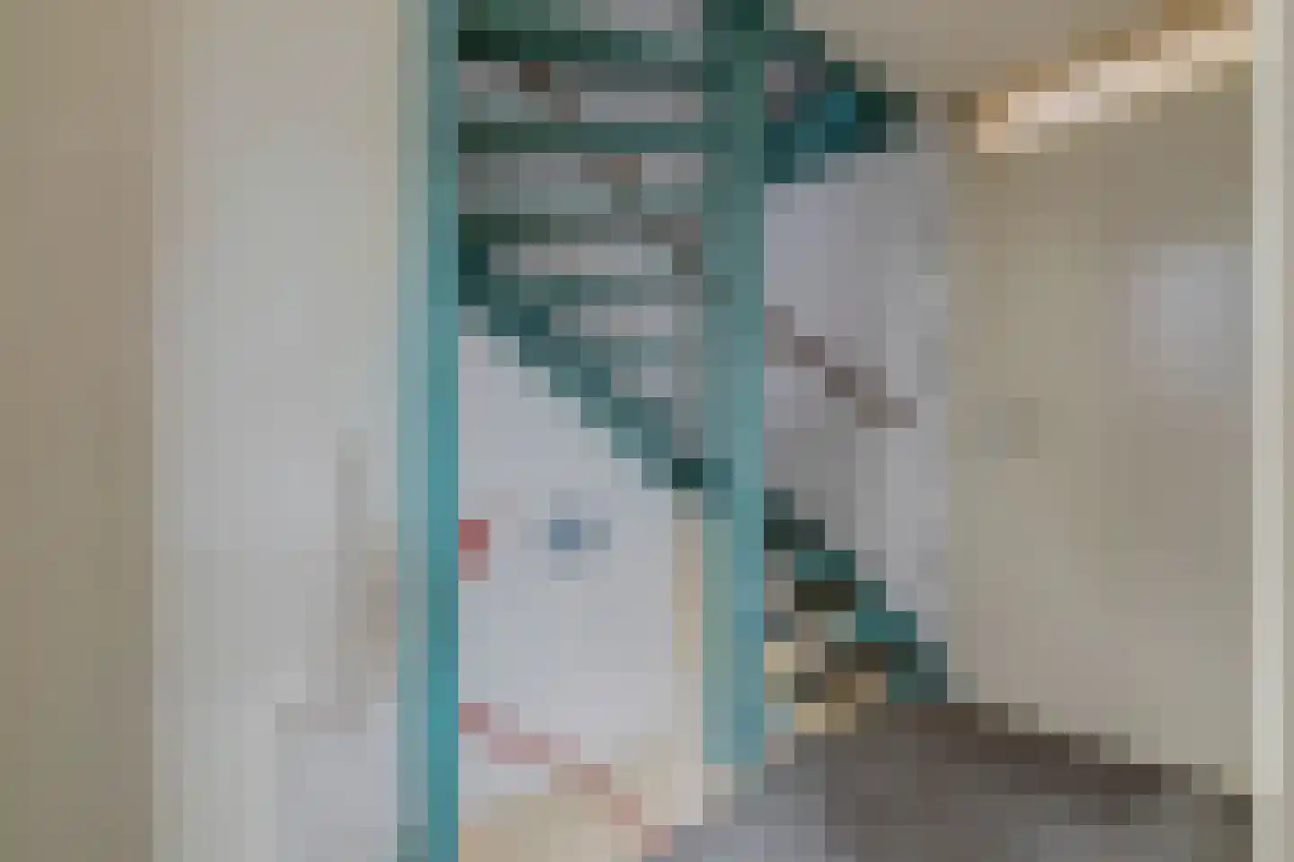 Ripstraat 17 Kamperland thumbnail 11