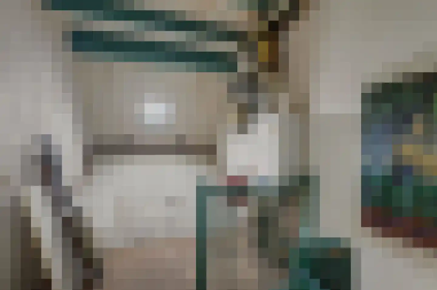 Ripstraat 17 Kamperland thumbnail 18