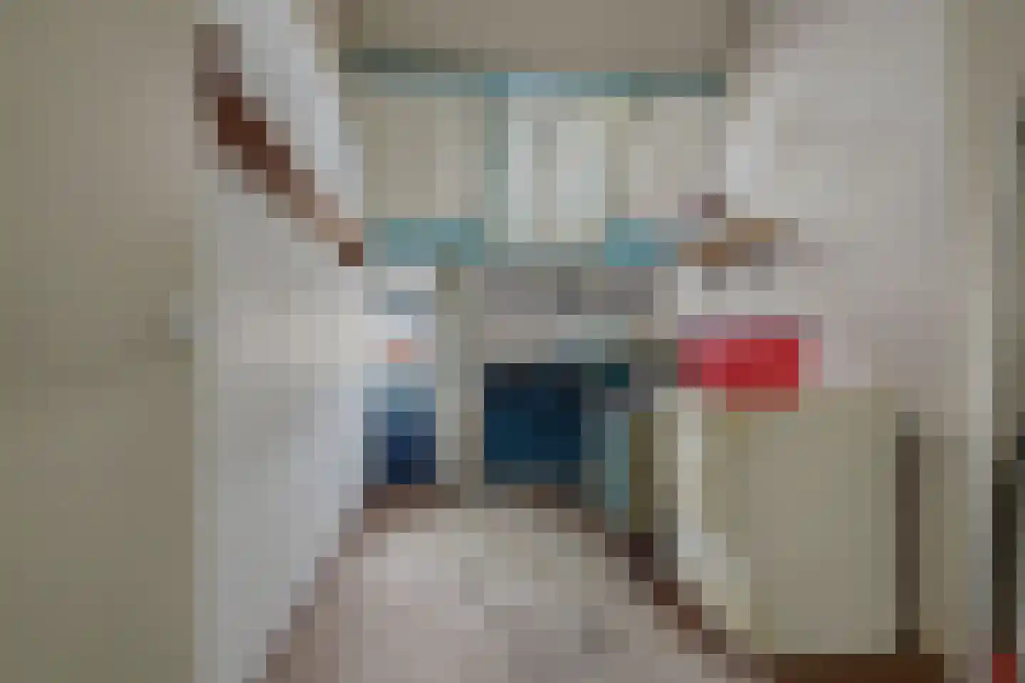 Ripstraat 17 Kamperland thumbnail 19