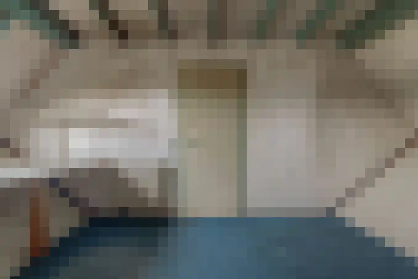 Ripstraat 17 Kamperland thumbnail 21