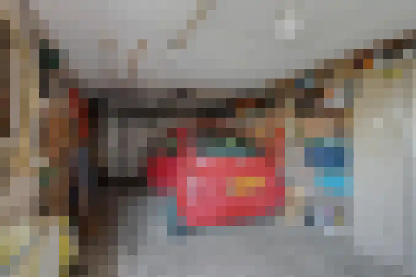 Ripstraat 17 Kamperland thumbnail 22