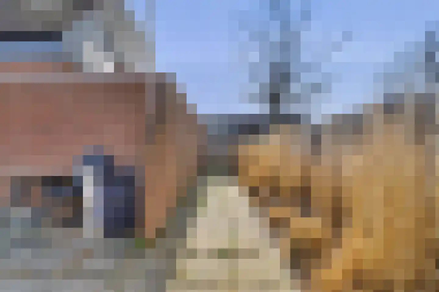 Ripstraat 17 Kamperland thumbnail 27