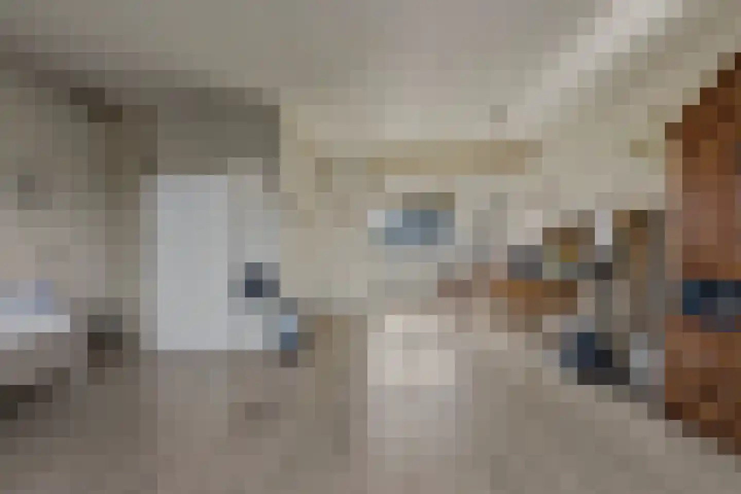 Ripstraat 17 Kamperland thumbnail 6