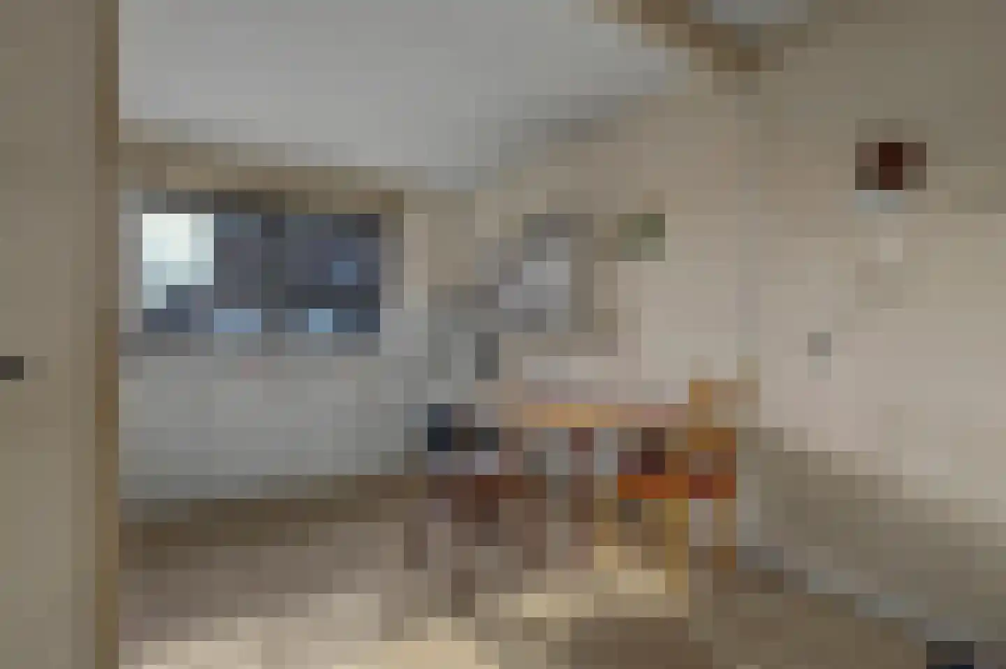 Ripstraat 17 Kamperland thumbnail 7