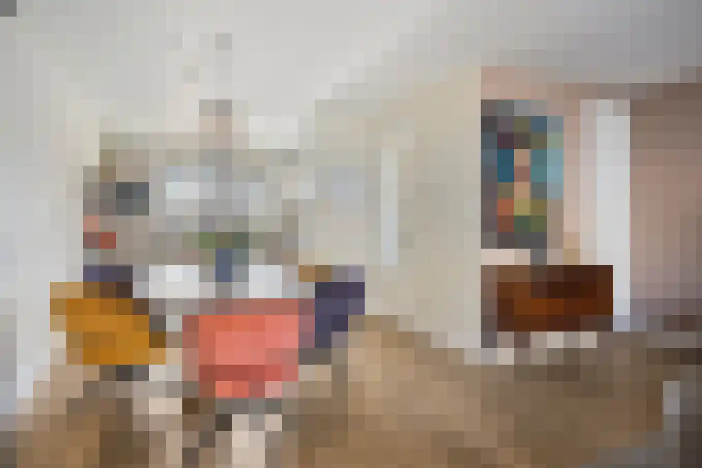 Ripstraat 19 Kamperland thumbnail 10