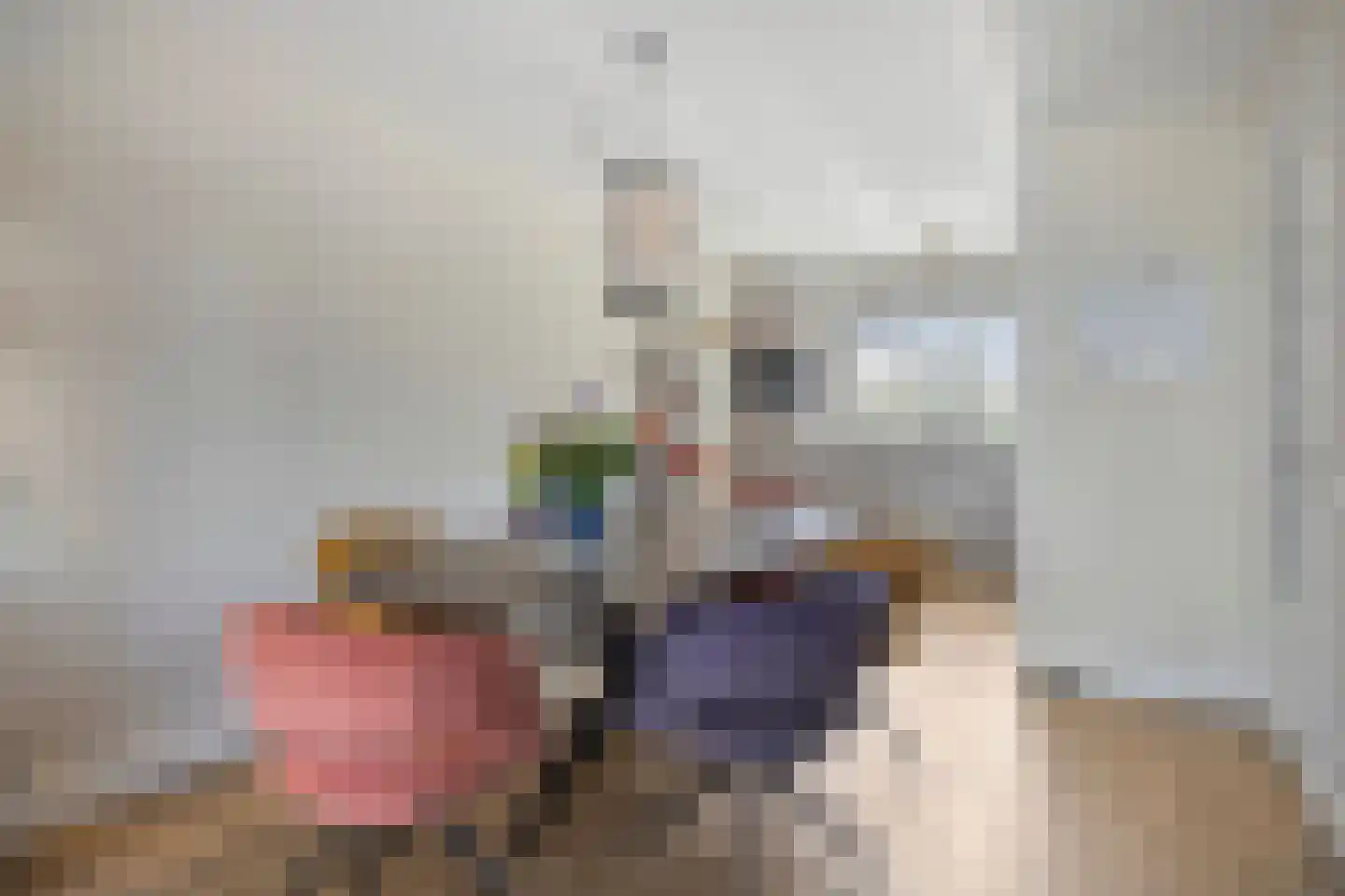 Ripstraat 19 Kamperland thumbnail 12