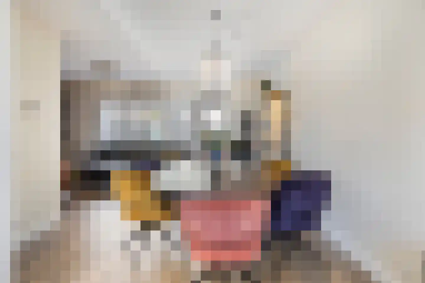 Ripstraat 19 Kamperland thumbnail 13