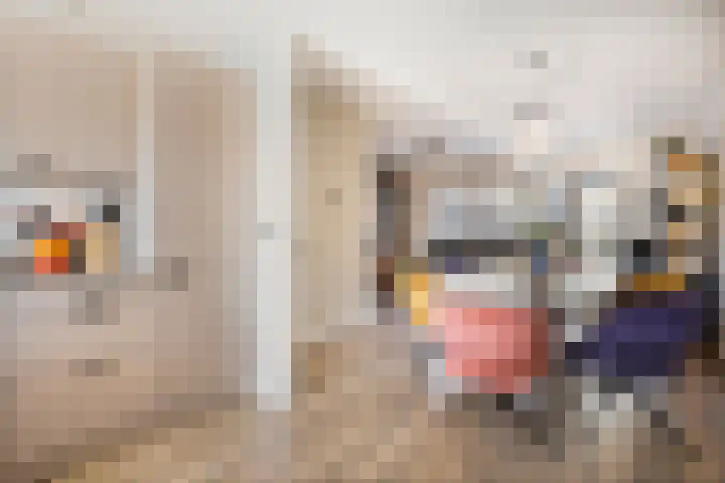 Ripstraat 19 Kamperland thumbnail 15