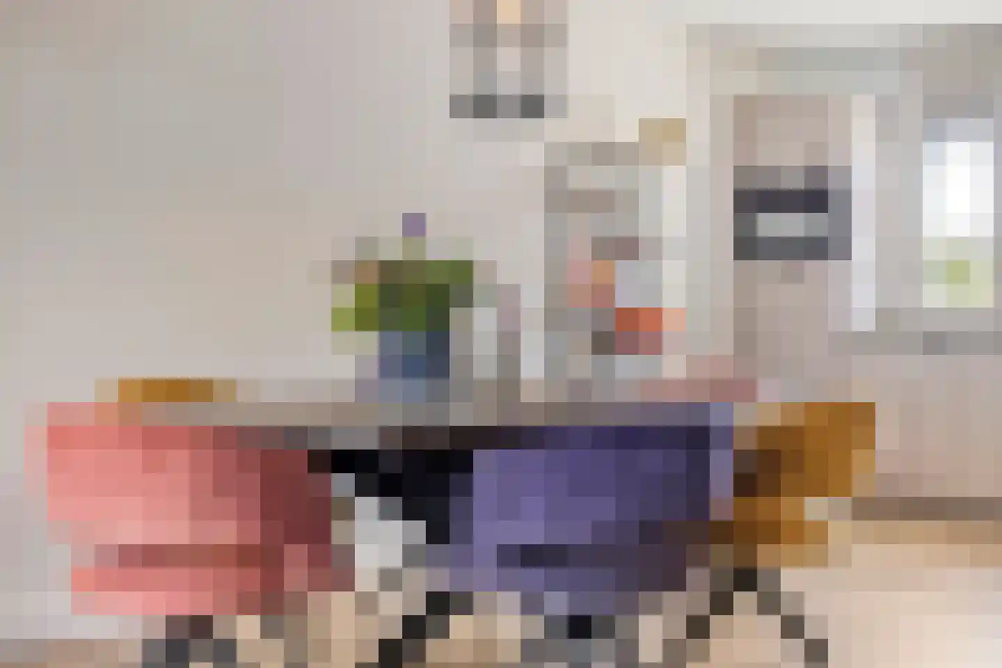 Ripstraat 19 Kamperland thumbnail 16