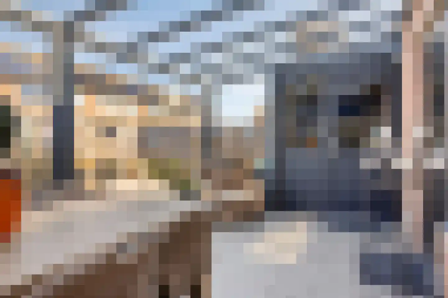 Ripstraat 19 Kamperland thumbnail 21
