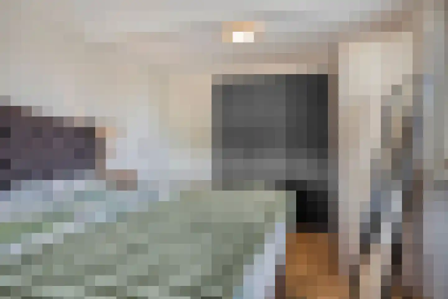 Ripstraat 19 Kamperland thumbnail 27
